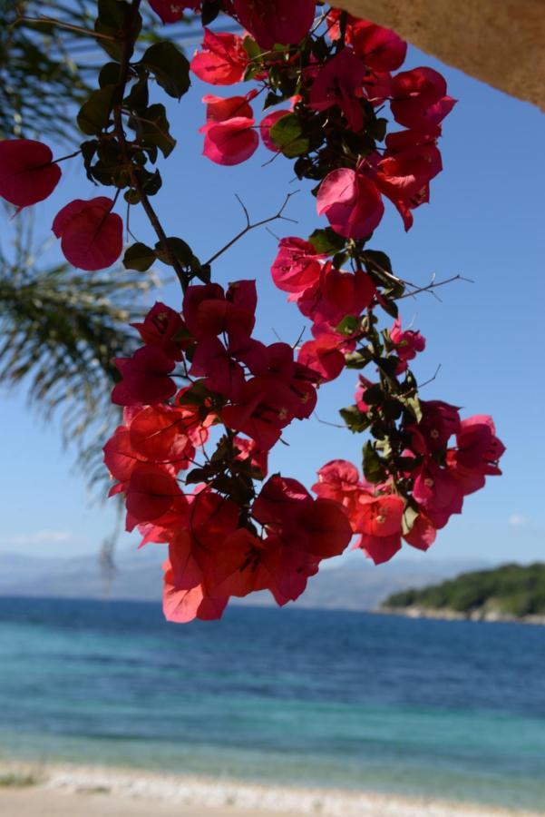 Villa Melanthi Kassiopi Corfu ภายนอก รูปภาพ