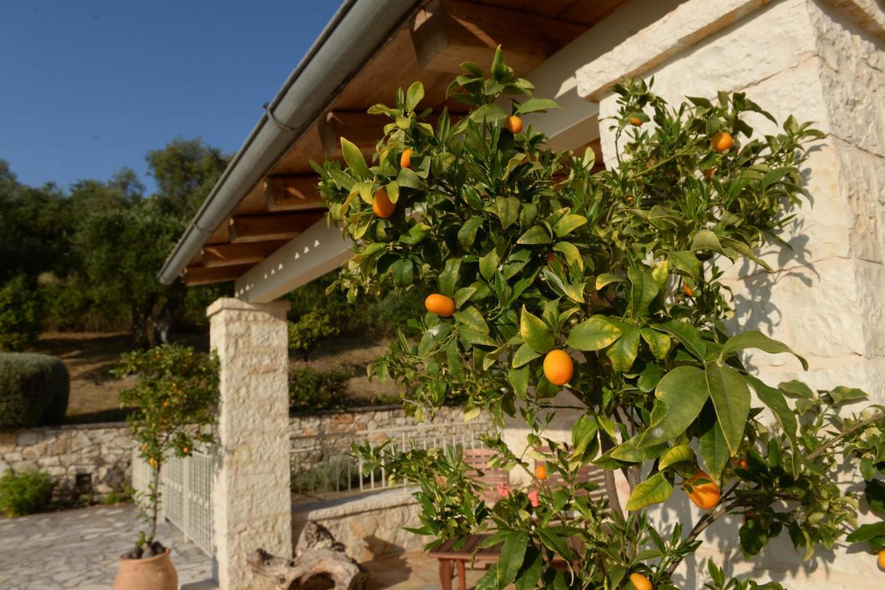 Villa Melanthi Kassiopi Corfu ภายนอก รูปภาพ